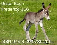 Buch &uuml;ber Eselfohlen Frederico 366